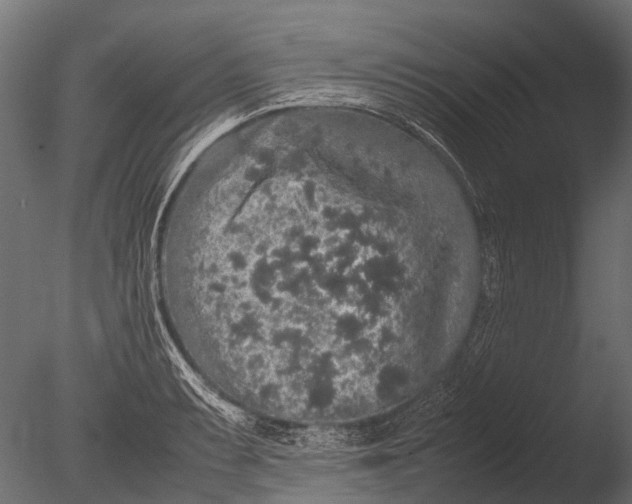 X0000085071087200703261225