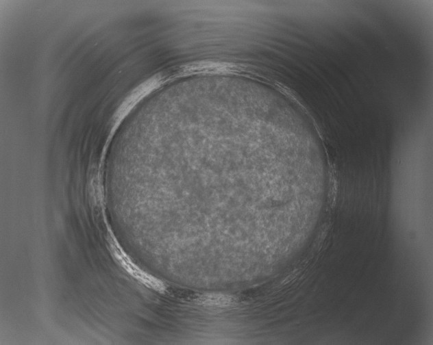 X0000085071090200703261225