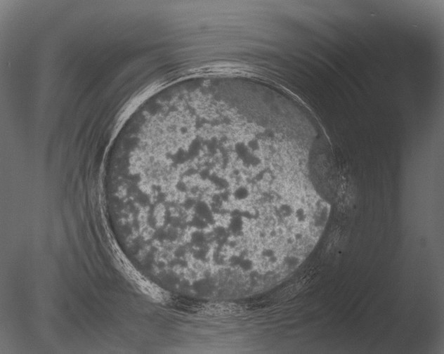 X0000085071091200703261225