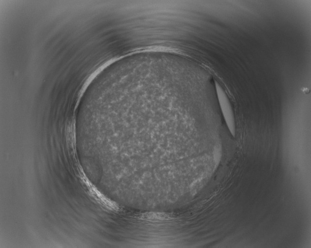 X0000085071092200703261225