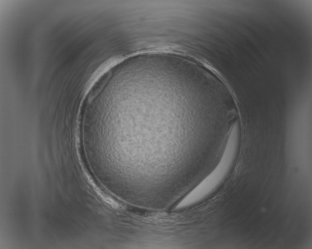 X0000085071093200703261225