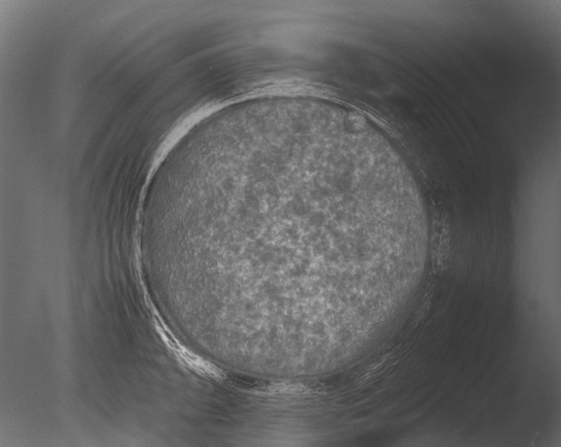 X0000085071094200703261225