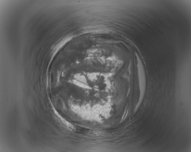 X0000085071095200703261225