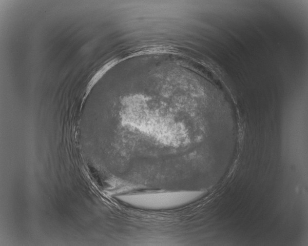 X0000085071097200703261225