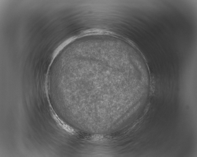 X0000085071098200703261225