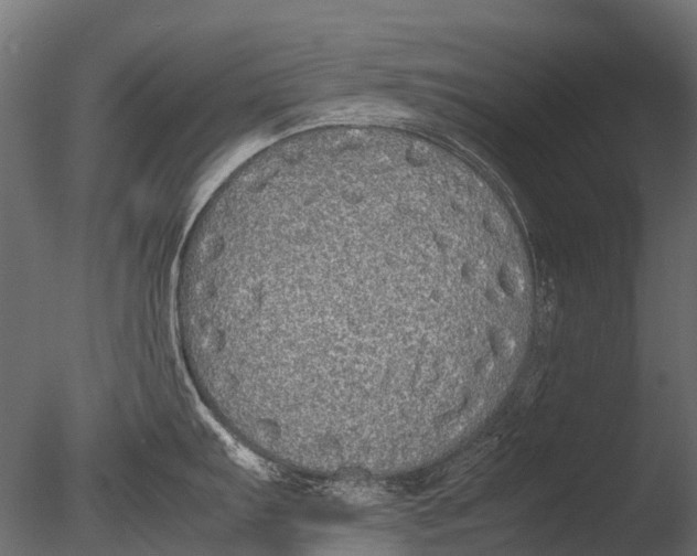 X0000085071103200703261225