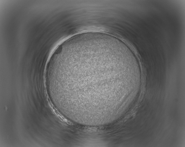 X0000085071104200703261225