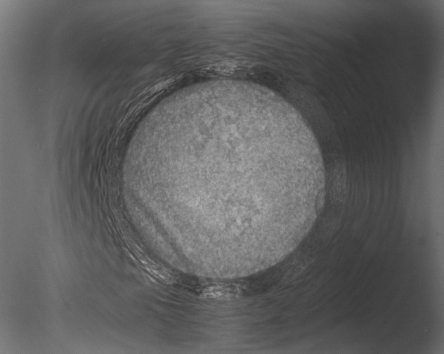 X0000085071105200703261224