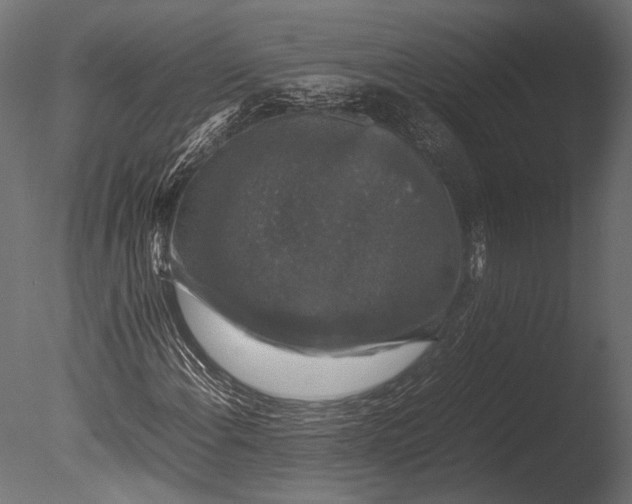 X0000085071108200703261224