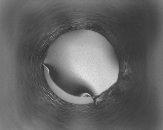 X0000085071109200703261224