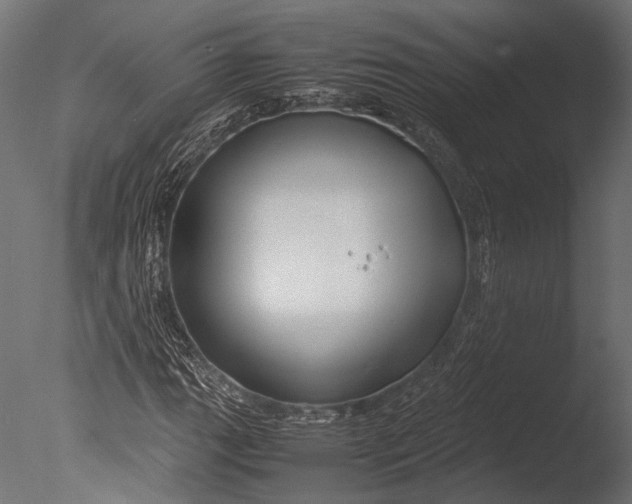 X0000085071111200703261224