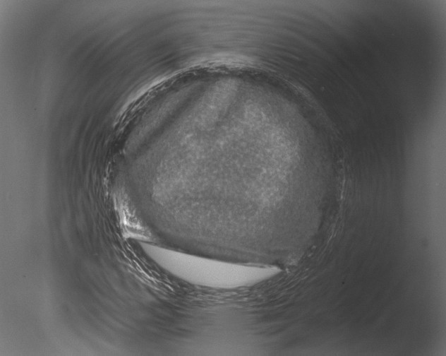 X0000085071112200703261224