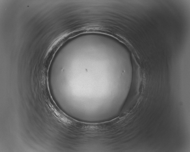 X0000085071115200703261224