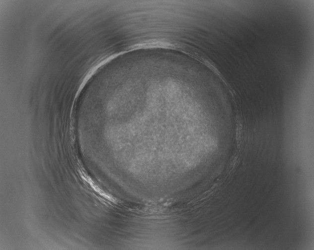 X0000085071116200703261224