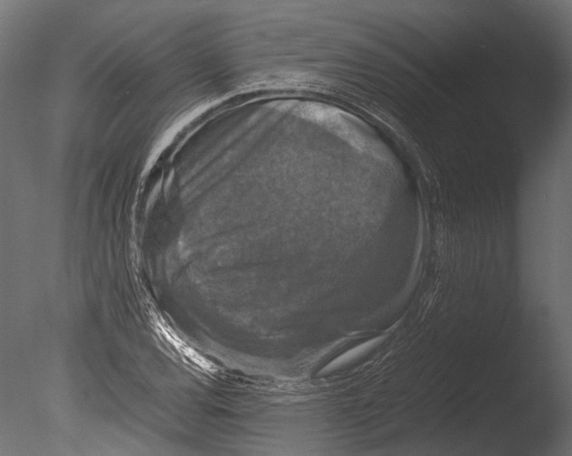 X0000085071120200703261224