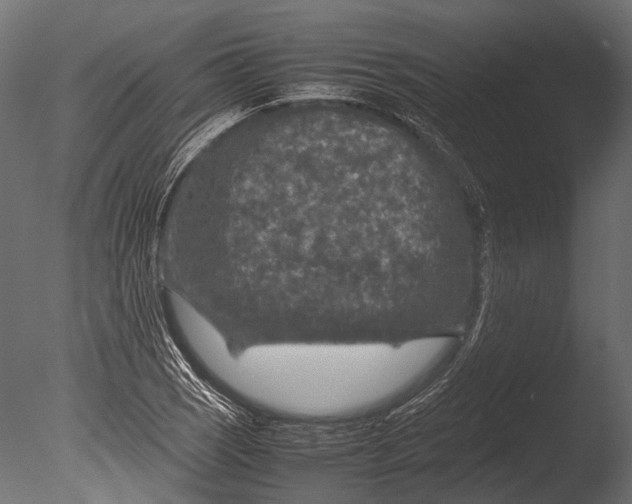 X0000085071121200703261224