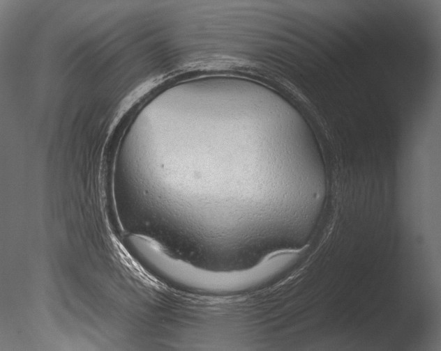 X0000085071122200703261224