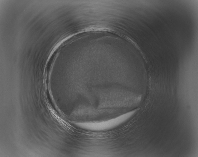 X0000085071124200703261224