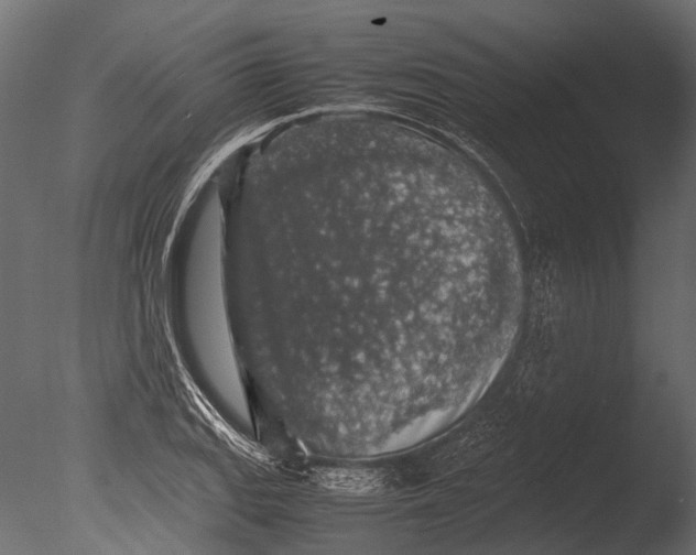 X0000085071127200703261224