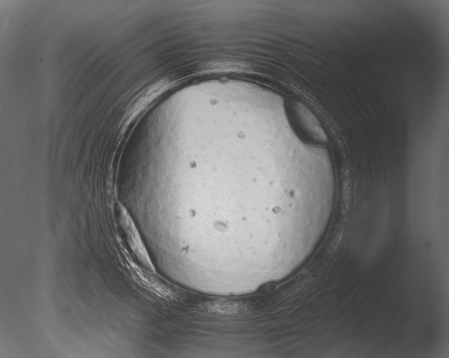 X0000085071129200703261224