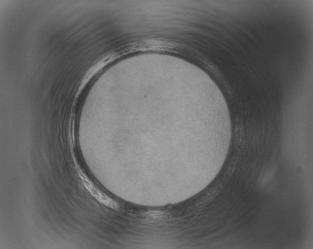 X0000085071130200703261224