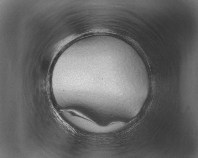 X0000085071133200703261224