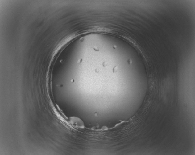 X0000085071135200703261224