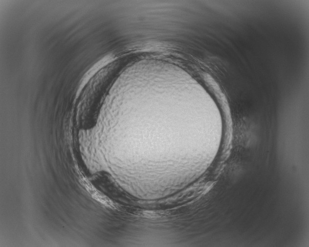 X0000085071138200703261224