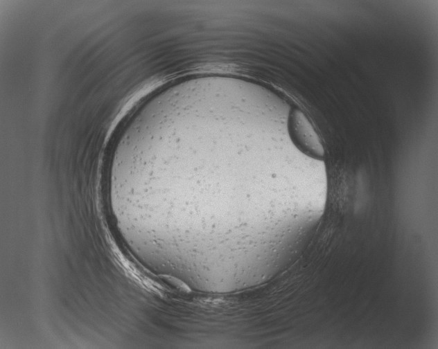 X0000085071139200703261224