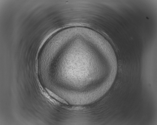 X0000085071140200703261224