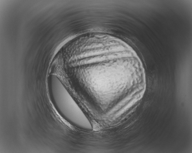 X0000085071141200703261224