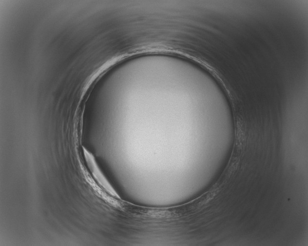 X0000085071142200703261224