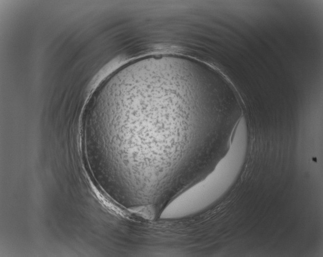 X0000085071143200703261224