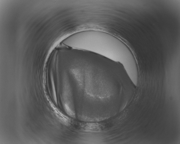 X0000085071144200703261224