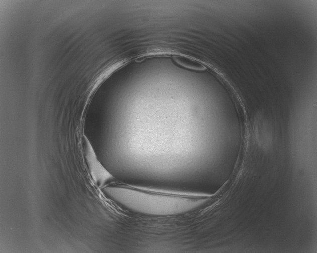 X0000085071145200703261224