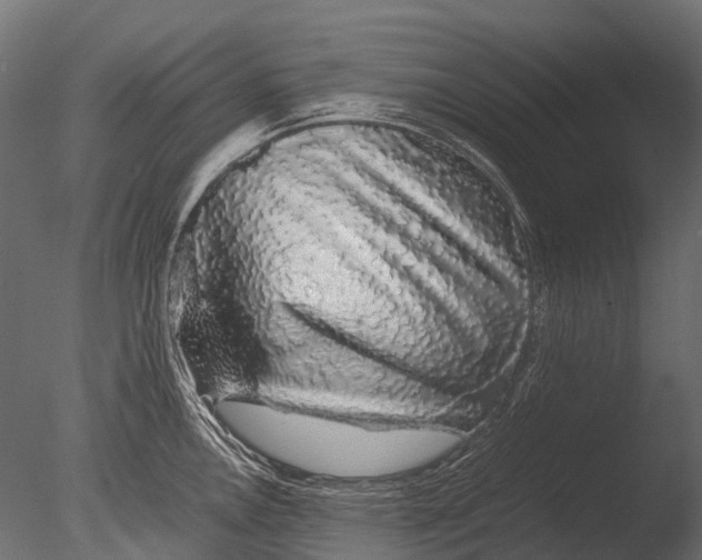 X0000085071146200703261225