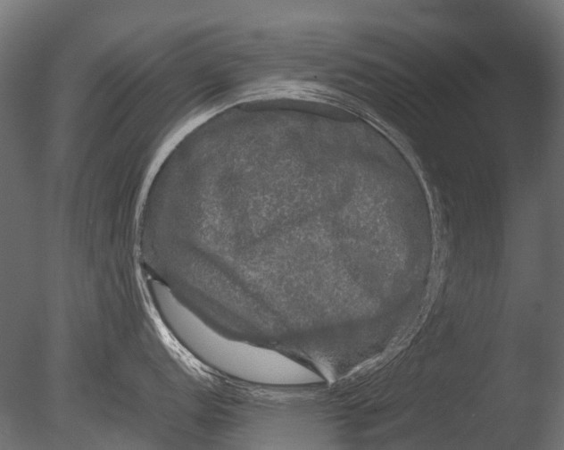 X0000085071152200703261225