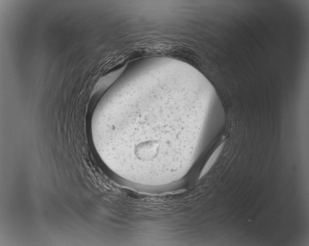 X0000085071153200703261224