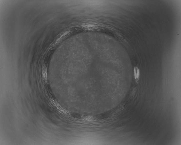 X0000085071155200703261224