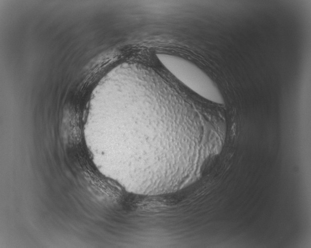 X0000085071156200703261224