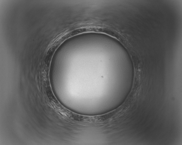 X0000085071159200703261224