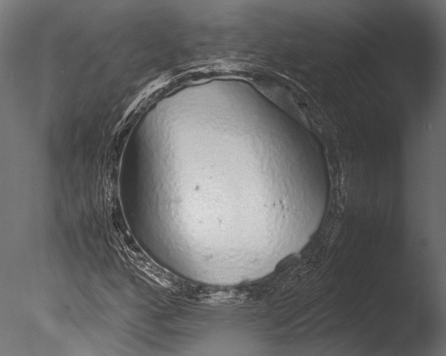 X0000085071160200703261224