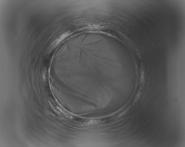 X0000085071161200703261224