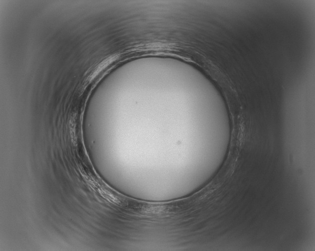 X0000085071162200703261224