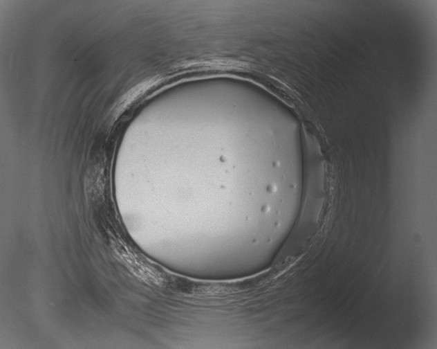 X0000085071163200703261224