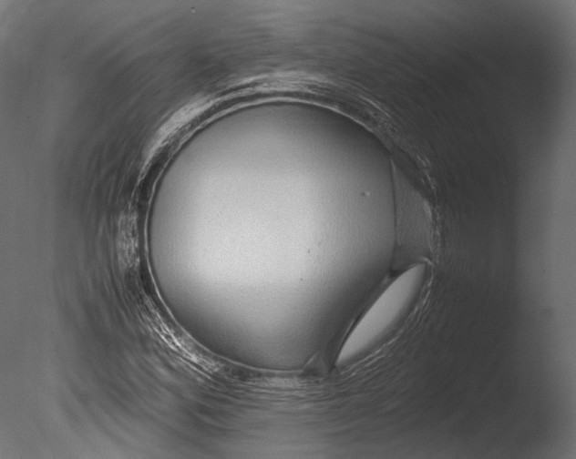 X0000085071164200703261224