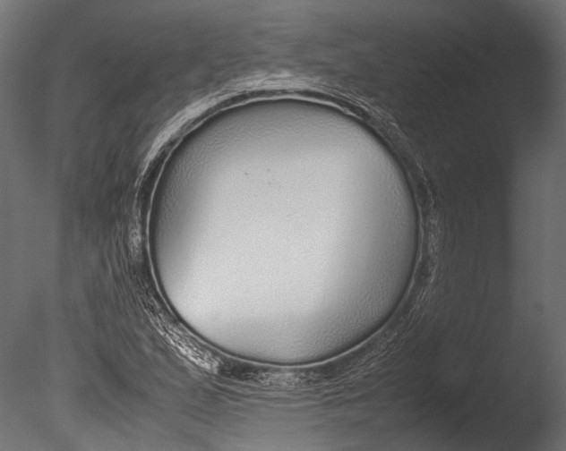 X0000085071167200703261224