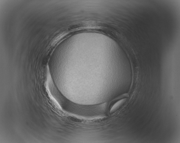 X0000085071169200703261224