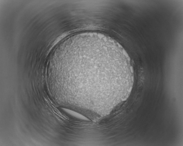 X0000085071170200703261223