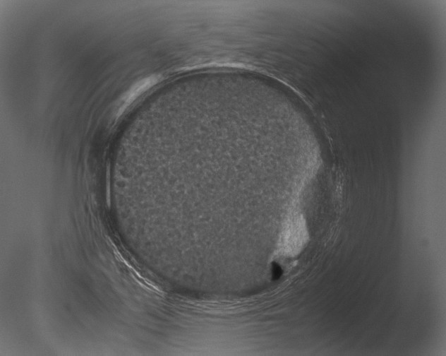 X0000085071171200703261223